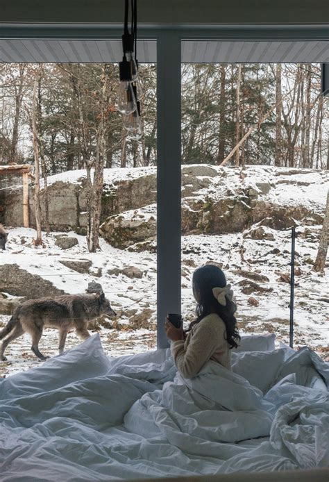 parc omega canada avis|omega park sleeping with wolves.